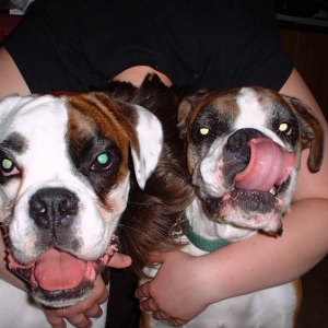 I can touch my nose with my tongue