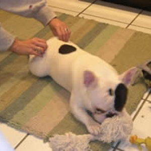 tushy squeeze for bustermom