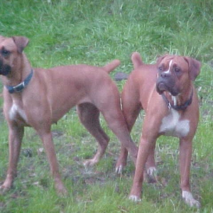 Side by Side