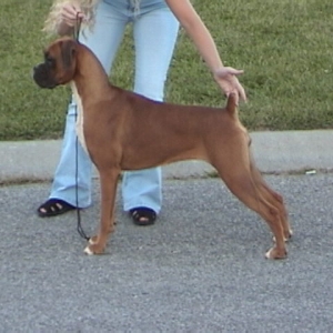 Ruby 10 months