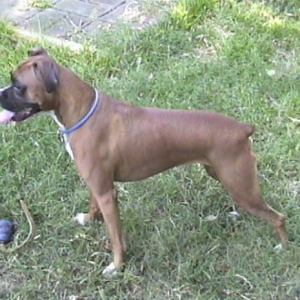 Profile_large