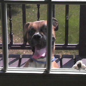 can i come in?