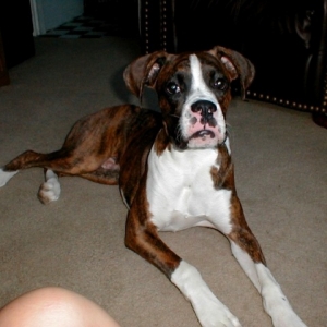Kobie