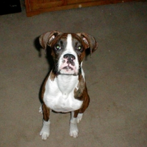 Kobie...again!