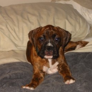 Zoe 10 Weeks