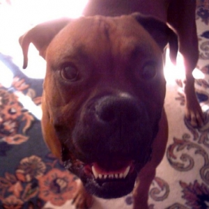 Chaos smiling