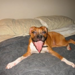 Dobbs 8 Months