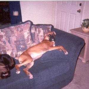 Just Relaxing!