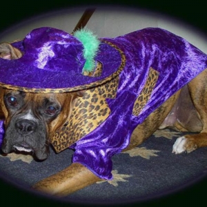 Pimp Doggy Style!