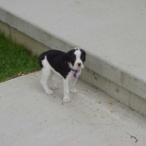 I can't get up the step