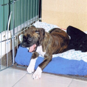 Big Yawn