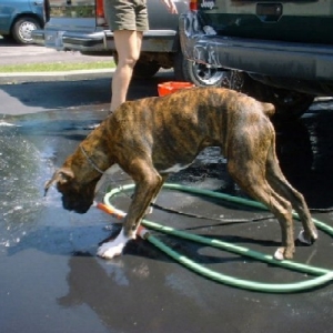 Helping wash the truck
