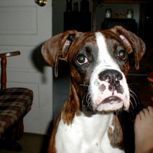 Kobie