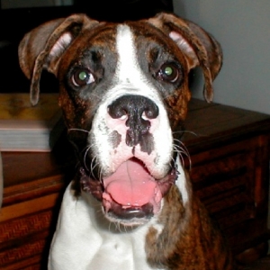 Kobie!!!