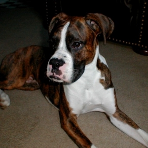 Kobie