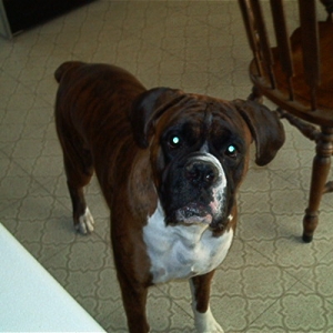 why you taking my pic