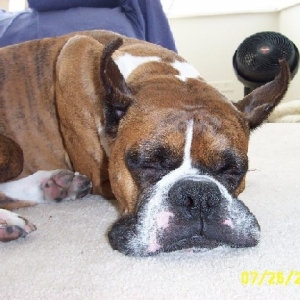 Geoffrey is tired