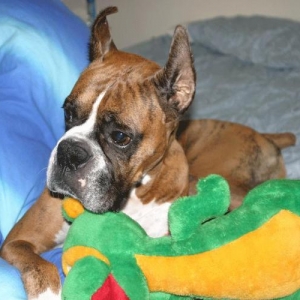 Geoffrey on the bed