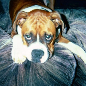 Seamus2003