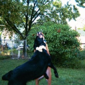 Dancing