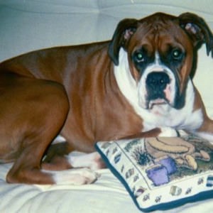 Seamus
