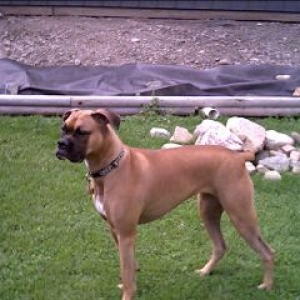 On Guard