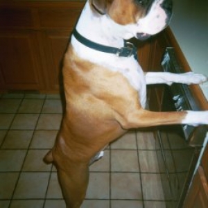 Counter Cruising Seamus!