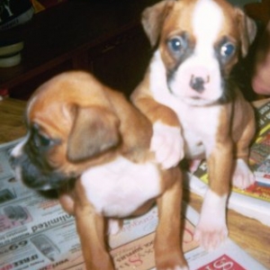 Nico and Sister