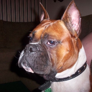 Samson