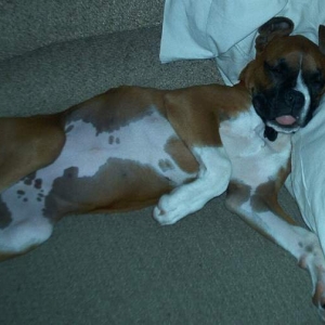 Being so cute is exhausting.