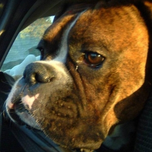 Going to the park.