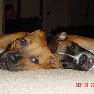 Max and Harlie posing