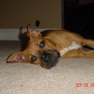 Harlie being cute!