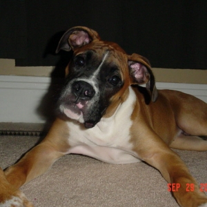 Max...my baby!