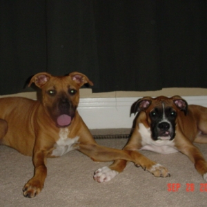 Harlie & Max