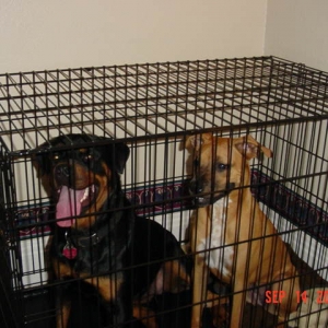 Harlie and Audrey
