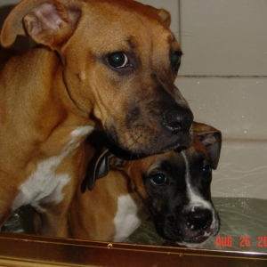 Bathtime!