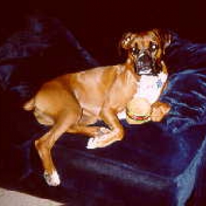 Bailey