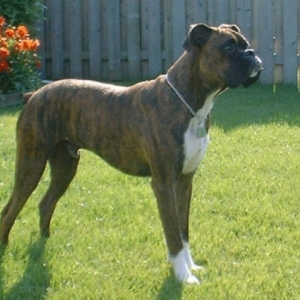 Cassius Posing
