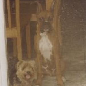My boys!