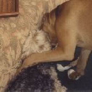 Just playing!