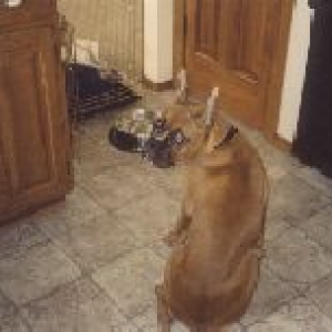 Please can I eat?