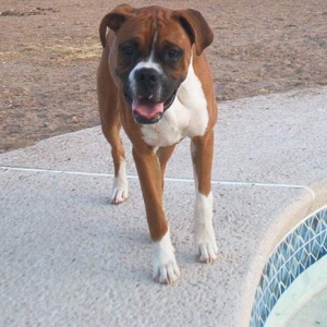 I'm coming to get you