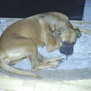 Sleeping
