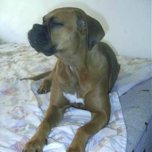 Sweety Mayra