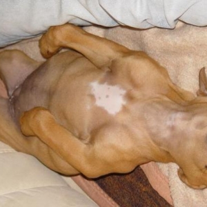 Tequilla Sleeping