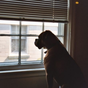 Profile of Beau