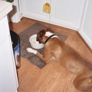 I'm so tired and thirsty!!