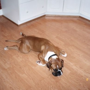 This floor feels so good!