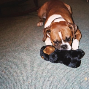 I love my new toy!